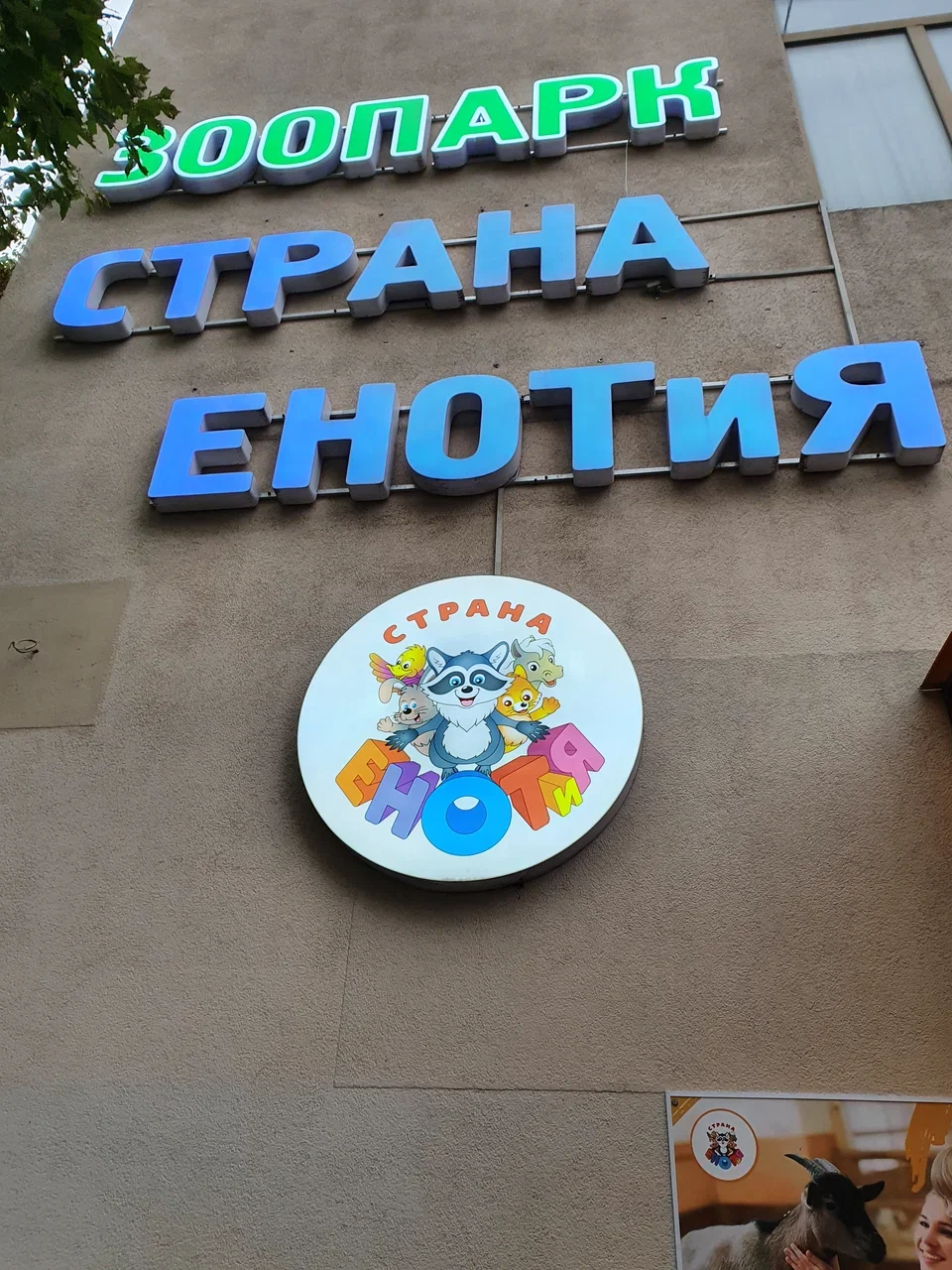 Фото Контактный зоопарк "Страна Енотия" - развлечение в Москве | Досугатор